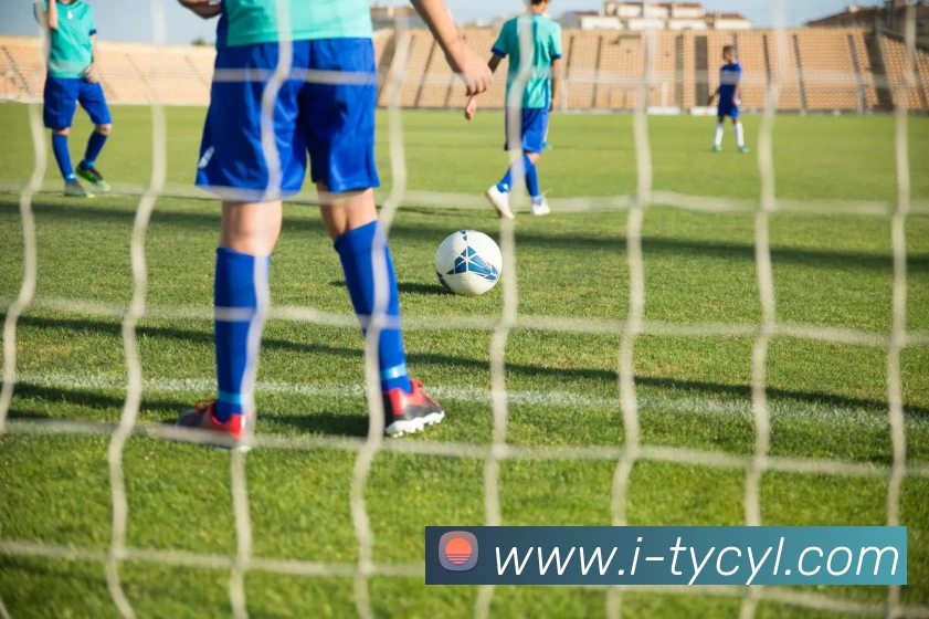 App Interface Preview