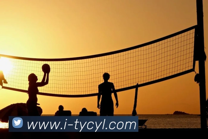 太阳城网站APP 封面图